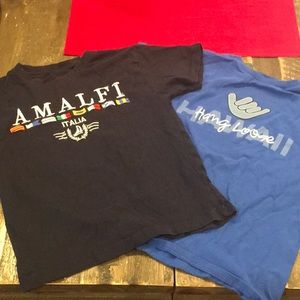 Toddler Tee Shirts - Hawaii and Italia